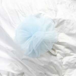 Bath Sponge