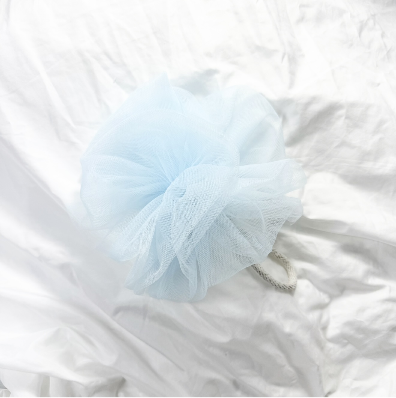 Bath Sponge